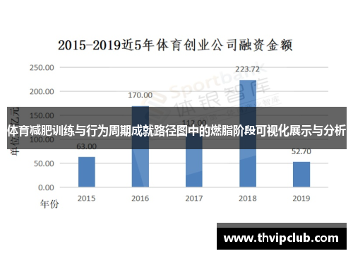 体育减肥训练与行为周期成就路径图中的燃脂阶段可视化展示与分析